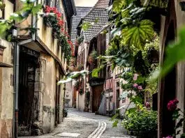 Pourquoi investir dans l’immobilier locatif à Colmar ?