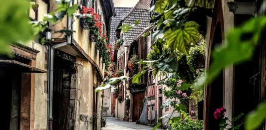 Pourquoi investir dans l’immobilier locatif à Colmar ?