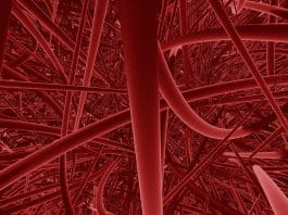 Qu’est-ce qu’un vasodilatateur ? vaisseaux sanguins