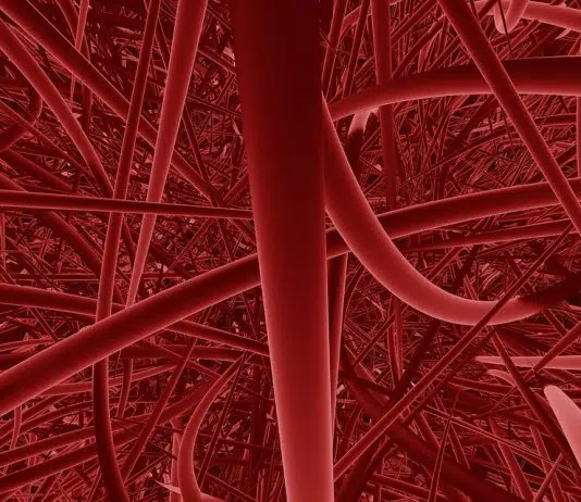 Qu’est-ce qu’un vasodilatateur ? vaisseaux sanguins