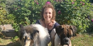 Les étapes à suivre pour ouvrir une pension canine