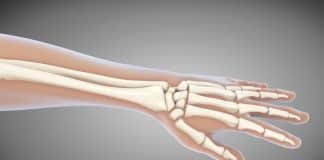 Les différentes pathologies de la main