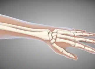 Les différentes pathologies de la main