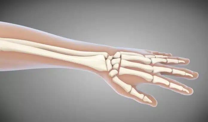 Les différentes pathologies de la main