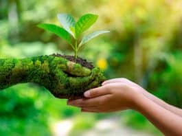 pourquoi choisir une formation à distance dans une école de transition écologique ?