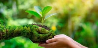 pourquoi choisir une formation à distance dans une école de transition écologique ?