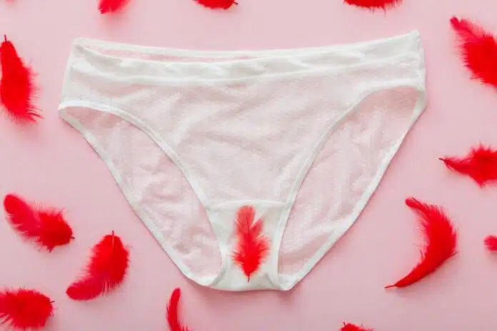 Les questions fréquentes sur l'utilisation des culottes menstruelles réponses et recommandations