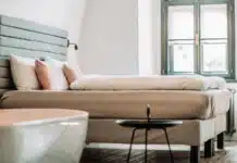 Éradication des punaises de lit : le traitement par des professionnels
